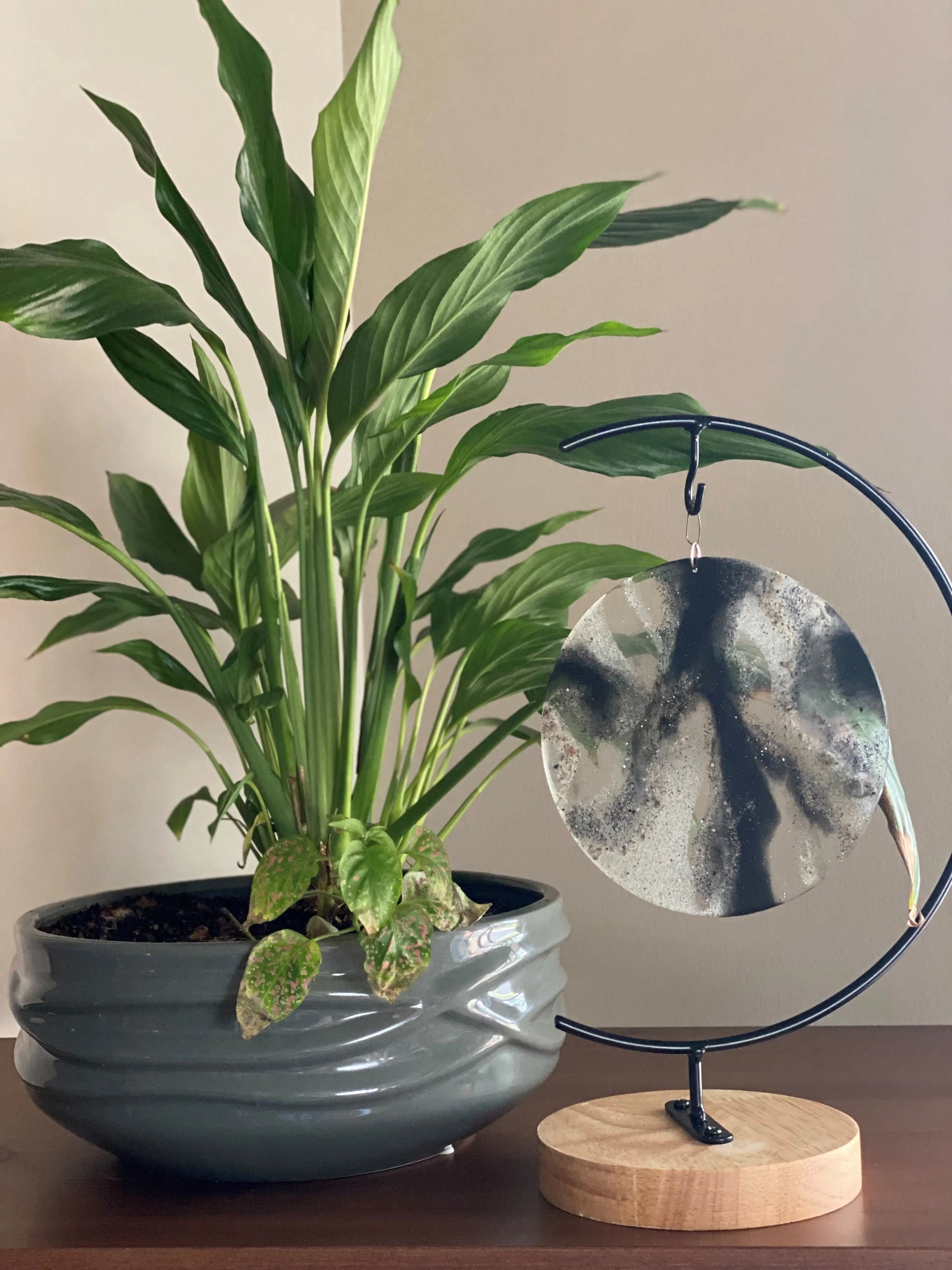 Potted plant next to a decorative memorial ash keepsake on a wooden surface with a neutral background