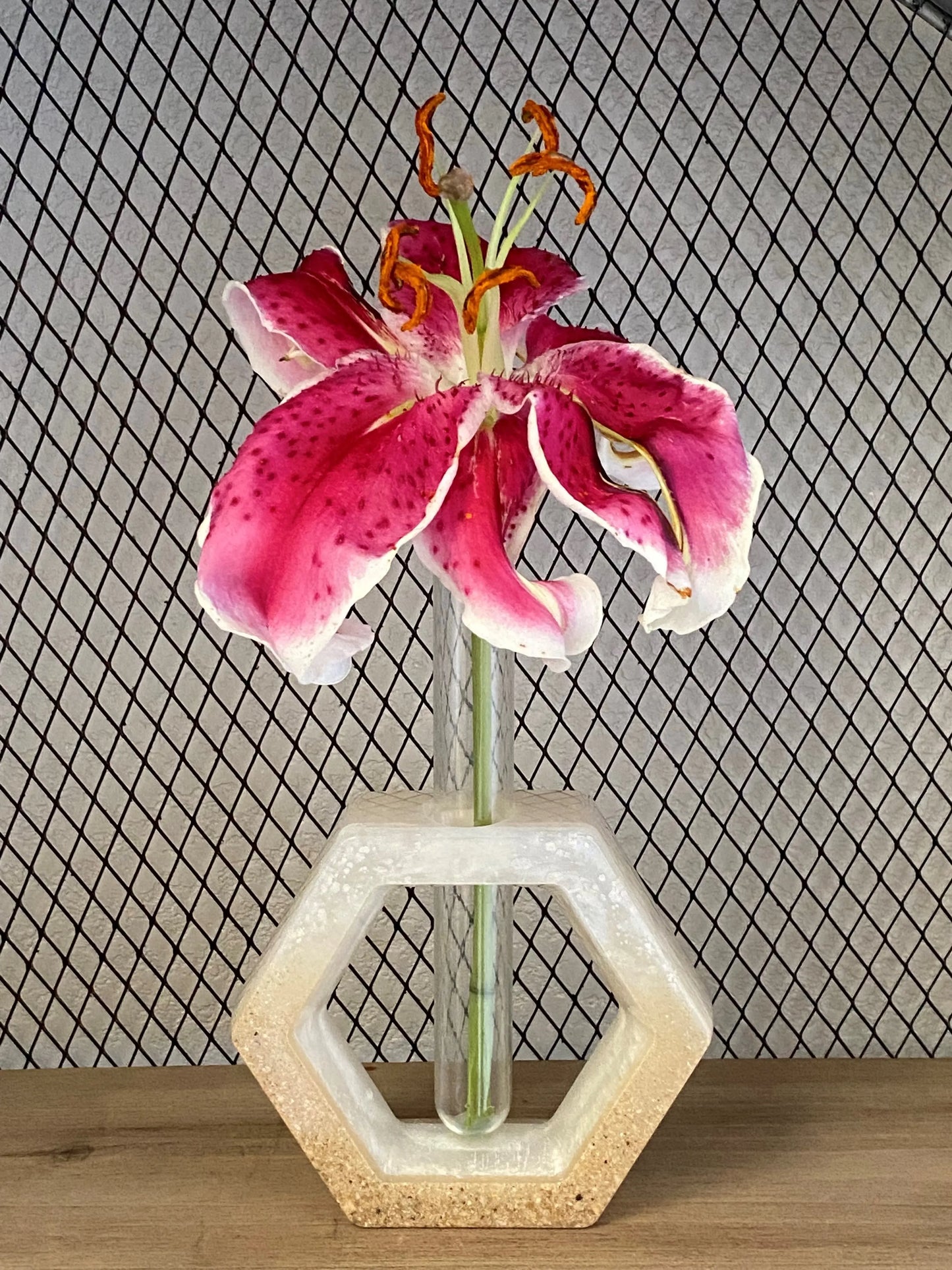 Pink flower with a geometric vase on a grid background